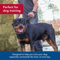 Thumbnail for Coastal Pet Titan Dog Prong Training Collar - Rust-Resistant and Prong Metal Training Chain Collar for Dogs - Quality Supplies - 2 mm x 14