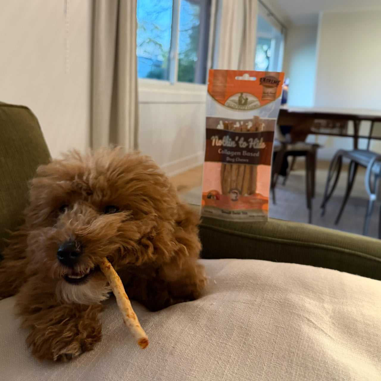 Ethical Pet Nothin` to Hide Salmon Twist Stix
