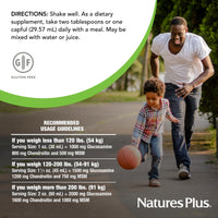 Thumbnail for Natures Plus Ultra Rx-Joint Liquid, Honey Lemon - 30 fl oz - Supports Healthy Joint Function - with Glucosamine, Chondroitin & MSM - Gluten Free - 30 Servings
