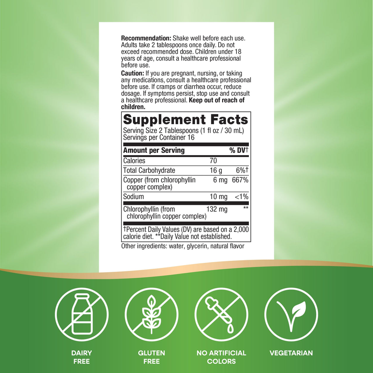 Nature's Way Chlorofresh Liquid Chlorophyll Internal Deodorant 16 fl oz, Mint Flavor (Packaging May Vary)