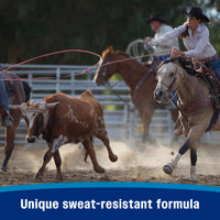 Thumbnail for Farnam Endure Sweat-Resistant Fly Spray for Horses, Sweat-Rsistant Formula Lasts Up to 14 Days, Kills and Repels Against Flies, Gnats, Mosquitoes, Ticks & Lice, 128 oz.