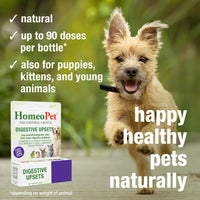 Thumbnail for HomeoPet Digestive Upsets, Safe, Gentle, and Natural Cat and Dog Digestive Support, 15 Milliliters
