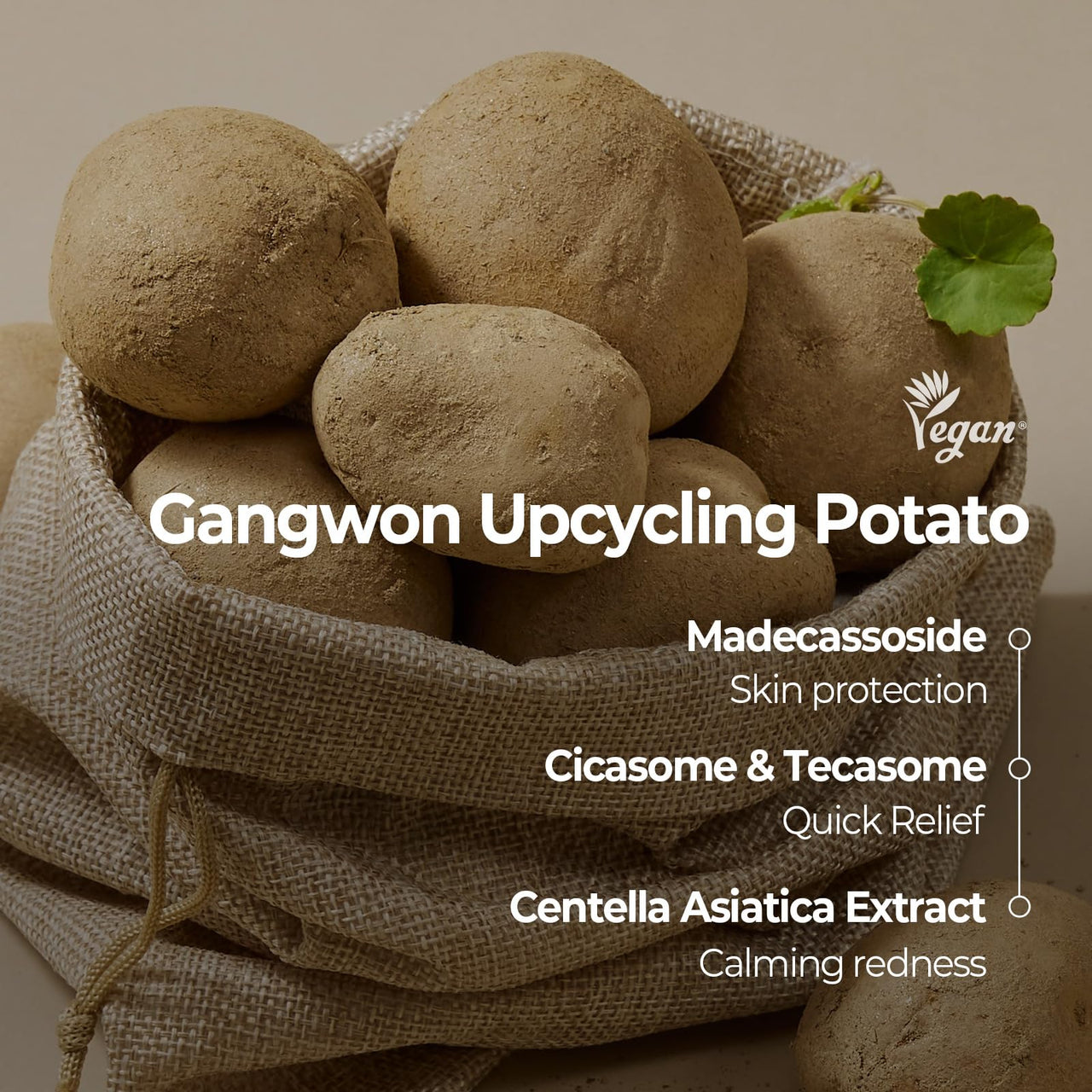 SKINFOOD Potato Madecassoside Soothing Toner Pad, Korean Skincare Facial Toner, Blemish Pads, Damaged Skin Barrier Improvement, Redness Relief, 8.81 oz (60 Pads)