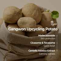 Thumbnail for SKINFOOD Potato Madecassoside Soothing Toner Pad, Korean Skincare Facial Toner, Blemish Pads, Damaged Skin Barrier Improvement, Redness Relief, 8.81 oz (60 Pads)