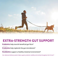 Thumbnail for MRM Nutrition Extra Strength Probiotics - Supports Intestinal, GI, & Immune Health for Women & Men, Prebiotic, Probiotic, & Postbiotic Supplement, 25 Billion Cells & 16 Strains, Vegan - 30 Servings