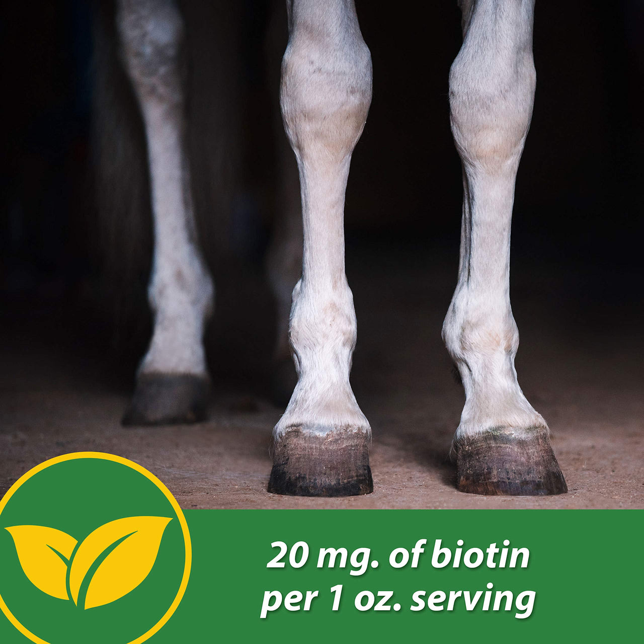 Farnam HB 15 Hoof Supplement, Supports healthy hoof growth 3 pound, 48 Day Supply