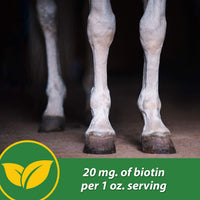 Thumbnail for Farnam HB 15 Hoof Supplement, Supports healthy hoof growth 3 pound, 48 Day Supply