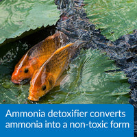 Thumbnail for API POND AMMO-LOCK Ammonia detoxifier For Pond Water 16-Ounce Bottle