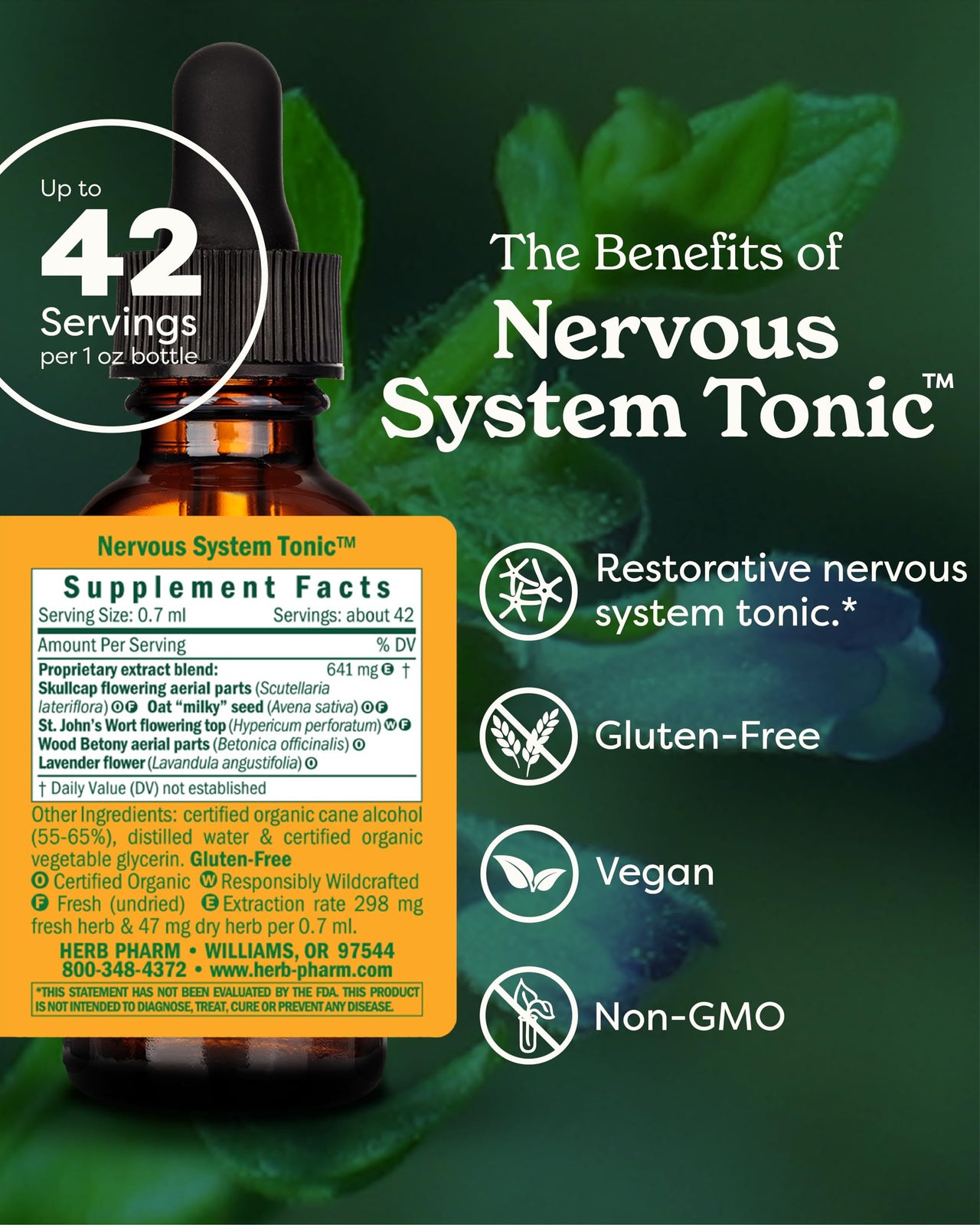 Herb Pharm Nervous System Tonic Liquid Herbal Formula to Strengthen and Calm the Nervous System - 1 Ounce (FASKULL01)