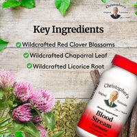 Thumbnail for Christopher's Original Formulas Blood Stream Formula - Blood Circulation Supplements - Supports Vein Elasticity, Clean & Pure Bloodstream