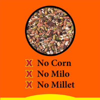Thumbnail for Wild Delight Woodpecker, Nuthatch N' Chickadee Food, 5 lb (364050)