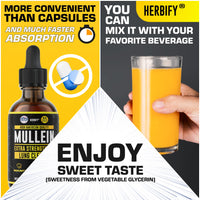 Thumbnail for HERBIFY Mullein Drops - Lung Cleanse - Leaf Extract - Powerful Mullein for Immune Support,Detox & Respiratory Support - Made in USA - Lung Cleanse for Smokers - 4 Oz