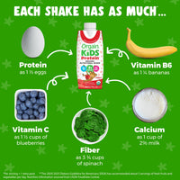 Thumbnail for Orgain Organic Kids Nutritional Protein Shake, Strawberry, Healthy Kids Snacks, 8g Dairy Protein, 3g of Fiber, 22 Vitamins & Minerals, No Soy ingredients, Gluten Free, Non-GMO, 8.25 Fl Oz (Pack of 12)