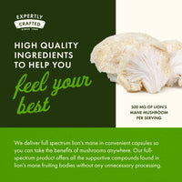 Thumbnail for Swanson Full Spectrum Lion's Mane Mushroom - Brain Health Supplement to Support Memory, Focus & Clarity* - May Also Aid Immune, Heart & Digestive Health - Gluten-Free & Non-GMO - 60 Capsules