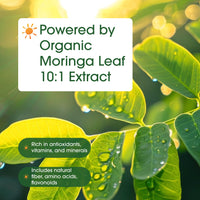 Thumbnail for NatureBell Moringa - 240 Capsules - Organic Moringa for Immune, Energy & Skin Health Support* - Green Superfood Properties