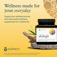 Thumbnail for Youtheory Shilajit - PrimaVie Himalayan Shilajit Capsules - Supports Energy, Stamina & Endurance* - Gluten Free - 60 Capsules (30-Day Supply)
