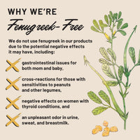Thumbnail for Legendairy Milk Cash Cow Lactation Supplement, Moringa, Alfalfa, and Goat's Rue Breastfeeding Supplement for Milk Supply Increase, Fenugreek-Free, Certified Organic, Vegan, Non-GMO, 60 Capsules