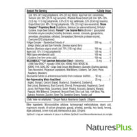 Thumbnail for NaturesPlus AgeLoss Hair Support - 90 Extended Release Tablets - Gluten-Free - 30 Servings
