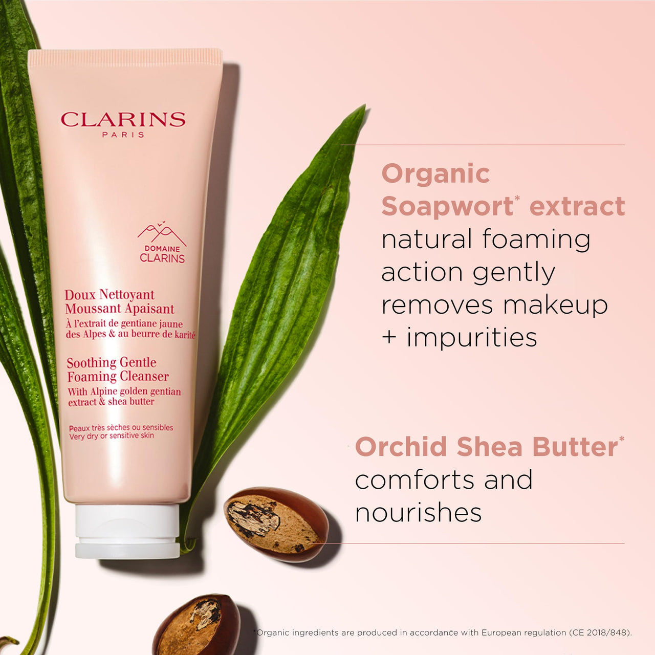 Clarins NEW Soothing Gentle Foaming Face Cleanser | Cleanses, Soothes, and Comforts | Contains Nourishing Shea Butter | Soap-Free| SLS-Free| Very Dry or Sensitive Skin Types | 4.2 Ounces