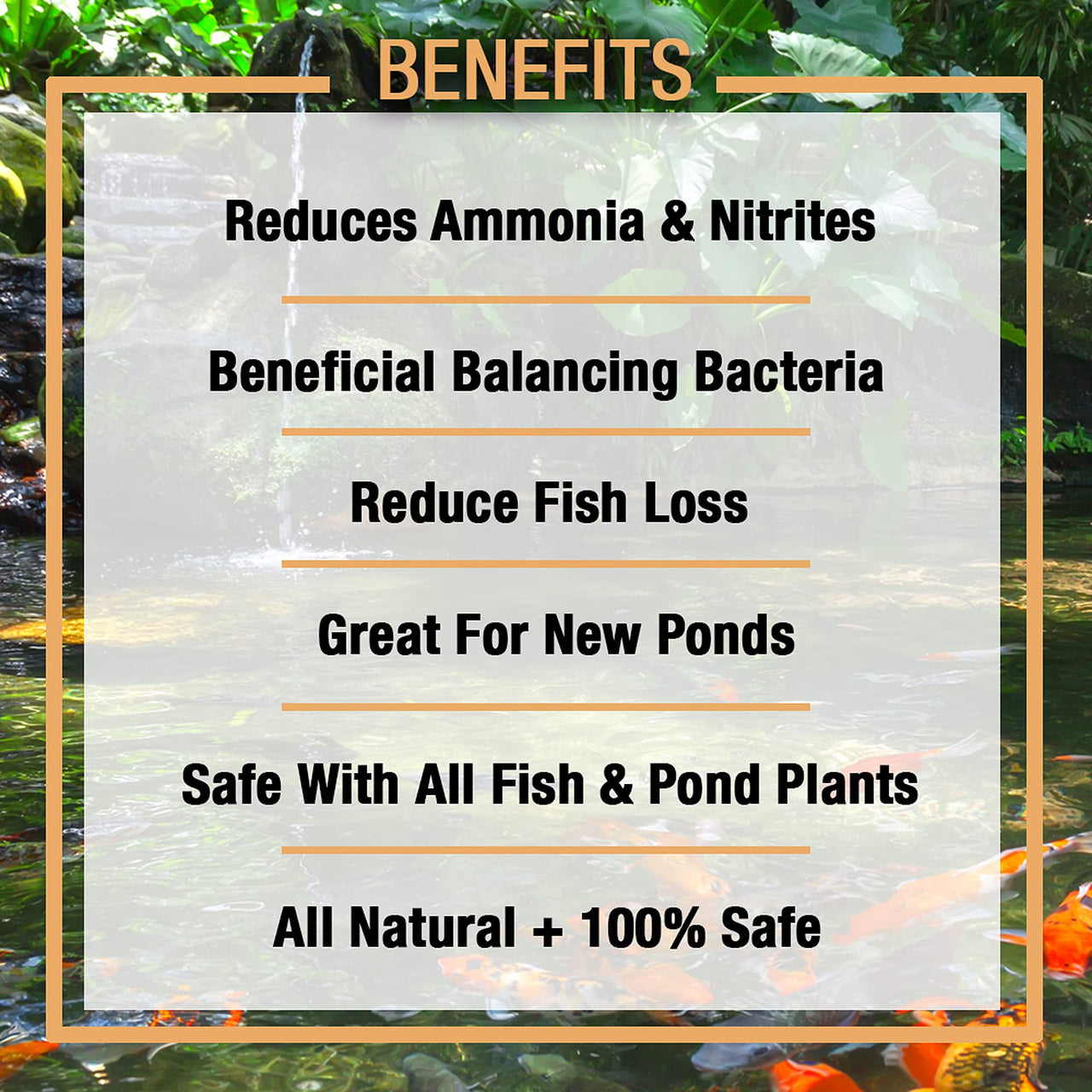 MICROBE-LIFT Nite-Out II Water Cleaner for Outdoor Ponds and Water Gardens, Rapid Ammonia and Nitrite Reduction (16 Ounces)
