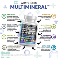 Thumbnail for Clean Nutraceuticals Sea Moss Black Seed Oil Ashwagandha Turmeric Bladderwrack Burdock & Vitamin C Vitamin D3 with Elderberry Manuka Dandelion Yellow Dock Iodine Chlorophyll ACV
