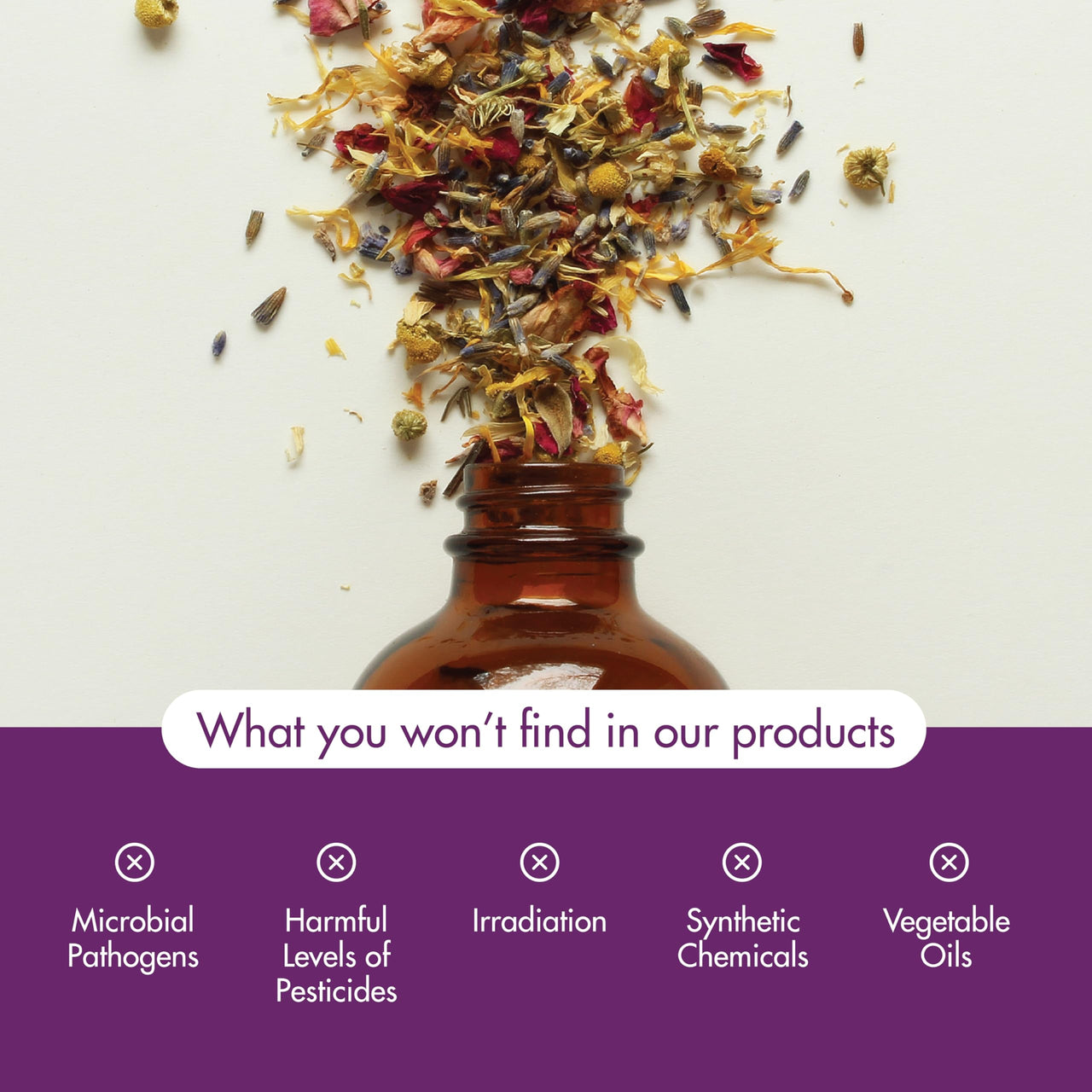 NOW Essential Oils, Lavender Oil, Soothing Aromatherapy Scent, Steam Distilled, 100% Pure, Vegan, Child Resistant Cap, 4-Ounce