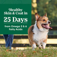 Thumbnail for Nutro Natural Choice Small Breed Dry Dog Food, Adult Dog Food Dry Chicken and Brown Rice, 5 lbs.