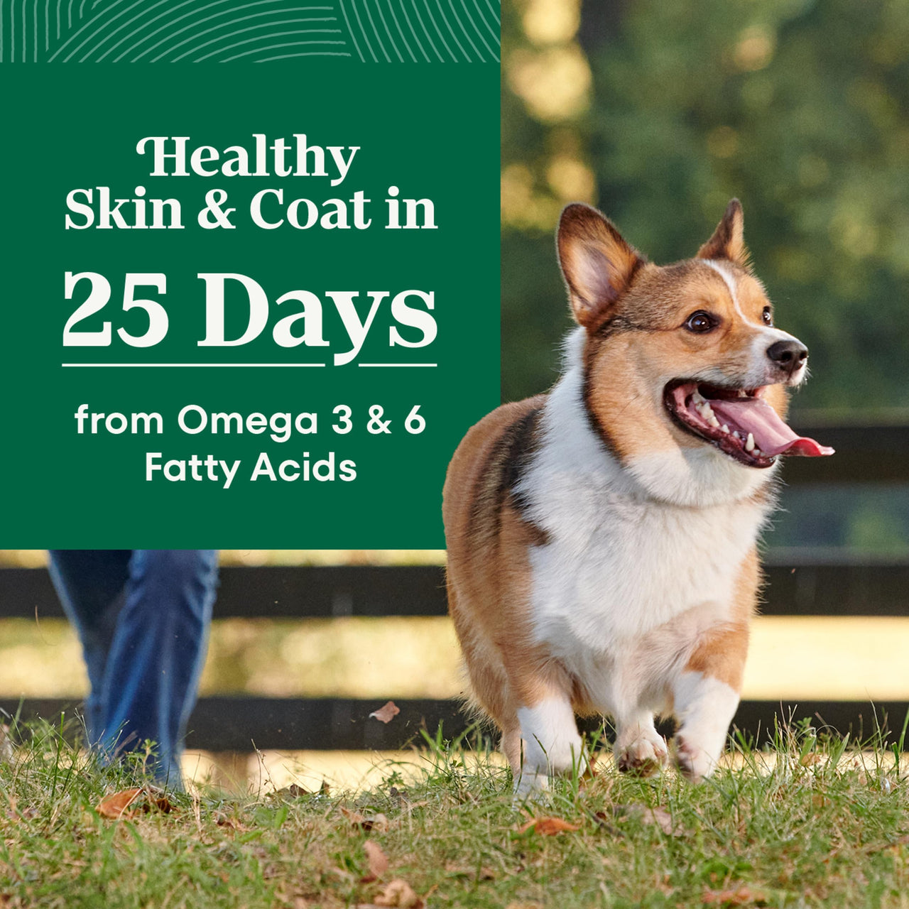 Nutro Natural Choice Small Bites Dry Dog Food, Adult Dog Food Dry Lamb & Brown Rice Recipe, 5 lbs.