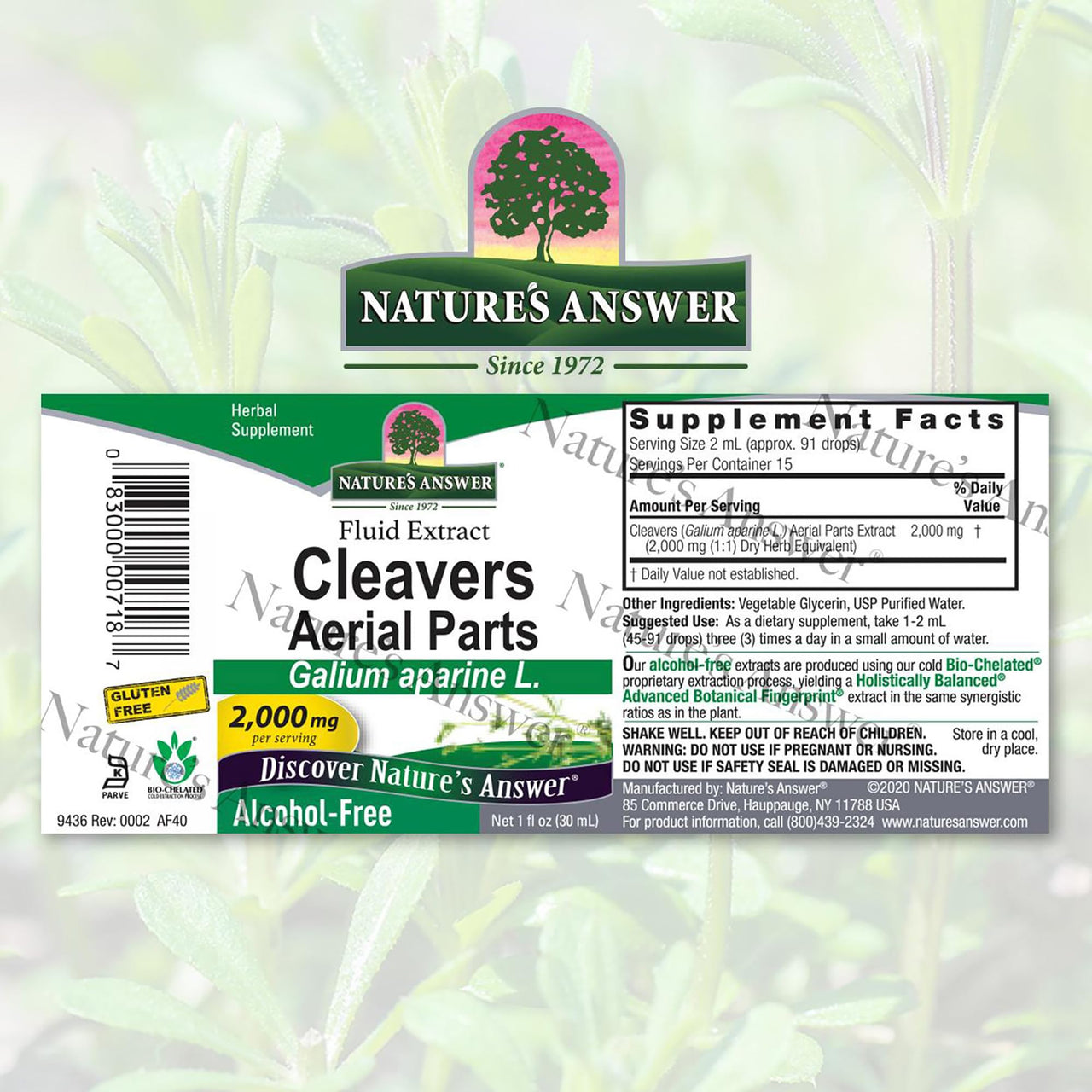 Nature's Answer Alcohol-Free Cleavers Herb, 1-Fluid Ounce