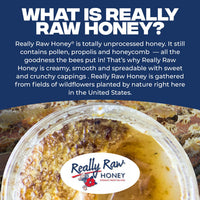 Thumbnail for Really Raw Honey, Straight from the Hive, Never Heated or Filtered, Harvested from Small USA Family Farms, Smooth and Dense (5 Pound)