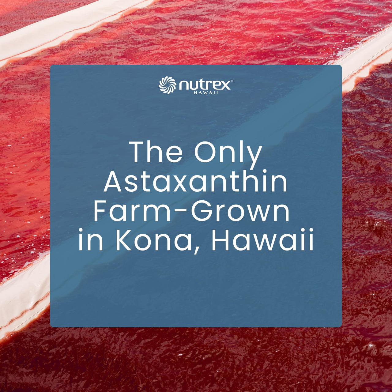 Nutrex Hawaii BioAstin Hawaiian Astaxanthin High Potency, 12mg, 90 Softgels