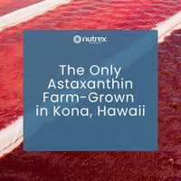 Thumbnail for Nutrex Hawaii BioAstin Hawaiian Astaxanthin High Potency, 12mg, 90 Softgels