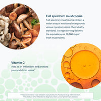 Thumbnail for Youtheory Immune+ Daily Wellness - Vegetarian Immune Support Supplement with Vitamin C, Vitamin D3 & Zinc* - Mushroom Supplement with Turkey Tail, Cordyceps & Reishi - 60 Vegetarian Caps