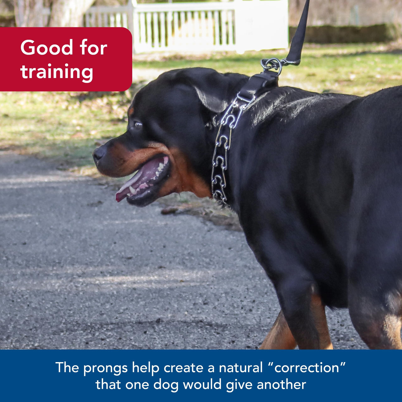 Coastal Pet Titan Easy-On Dog Prong Training Collar - Durable Metal Collar with Side Release Buckle - Black, 3.3 mm x 20