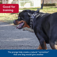 Thumbnail for Coastal Pet Titan Easy-On Dog Prong Training Collar - Durable Metal Collar with Side Release Buckle - Black, 3.3 mm x 20