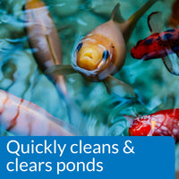 Thumbnail for API POND SIMPLY CLEAR Pond Water Clarifier 16-Ounce Bottle (248B)