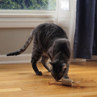 Thumbnail for SPOT Naturals Silver Vine Cat Toy – Natural Interactive Enrichment for Cats, Stimulates Play and Reduces Stress, Durable and Safe, Perfect for Indoor Cats and Kittens, Assorted Styles, 1 Piece