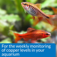 Thumbnail for API COPPER TEST KIT 90-Test Aquarium Water Test Kit