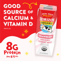 Thumbnail for Horizon Organic Shelf Stable 1% Lowfat Strawberry Milk Boxes, 8 fl oz, 12 Count - 8g Protein per Serving, USDA Organic UHT from Pasture-Raised Cows, Ready to Drink for Lunchbox, Travel, or On-the-Go, No Refrigeration Needed