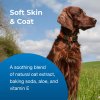 Thumbnail for PetAg Fresh ’n Clean Oatmeal ’n Baking Soda Conditioner, Tropical Fresh Scent - 18 oz - Gently Cleans, Soothes & Deodorizes Dogs with Vitamin E & Aloe Vera - Soap Free