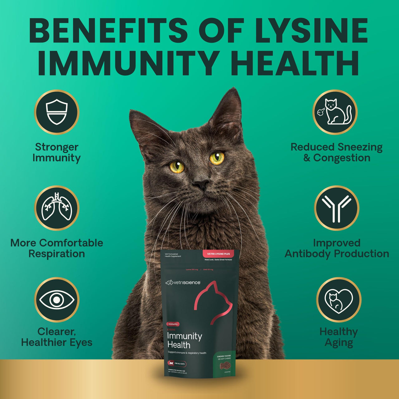 VetriScience Lysine Immunity Health Chews, 250 mg Immune Supplement for Cats and Kittens with Allergies, Sneezing, Runny Nose and Watery Eyes, Chicken, 90 Count