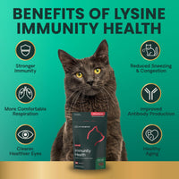 Thumbnail for VetriScience Lysine Immunity Health Chews, 250 mg Immune Supplement for Cats and Kittens with Allergies, Sneezing, Runny Nose and Watery Eyes, Chicken, 90 Count