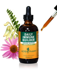 Thumbnail for Herb Pharm Daily Immune Builder Herbal Immune System Defense - 4 Ounce