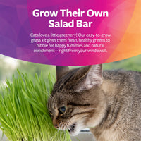 Thumbnail for SmartyKat Sweet Greens Organic Oat Grass All-in-One Cat Grass Grow Kit, Easy-to-Grow to Support Digestion & Hairball Reduction