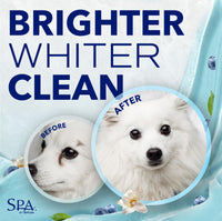 Thumbnail for TropiClean SPA Tear Stain Remover for Dogs | Blueberry Facial Shampoo | Odor Eliminator | Tearless | Whitening and Brightening | Made in USA | 8oz.