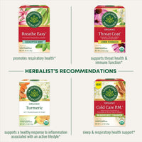 Thumbnail for Traditional Medicinals Tea, Organic Echinacea Plus Elderberry, Boosts the Immune System, 16 Tea Bags