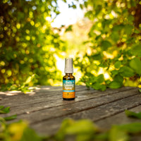 Thumbnail for Herb Pharm Herbs on The Go Certified Organic Daily Calming Portable Spray, Adaptogenic Support*, 1 Ounce