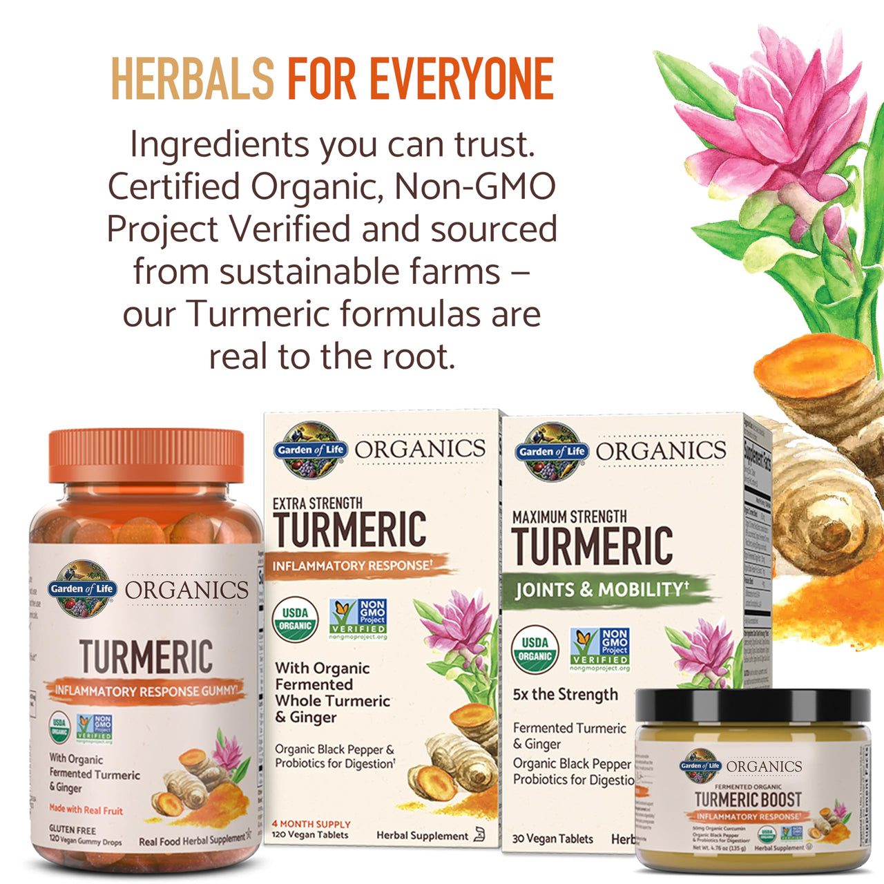 Garden of Life Organics Extra Strength Turmeric Inflammatory Response 60 Tablets-100mg Curcumin (95% Curcuminoids) Black Pepper, Probiotics, Organic Non-GMO Vegan Gluten Free Herbal Supplement