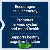 Thumbnail for Life Extension Acetyl-L-Carnitine, Acetyl-L-Carnitine, Vitamin C, Brain, Mood & Nerve Health, Cellular Energy, 3-Month Supply, Gluten-Free, Non-GMO, Vegetarian, 100 Capsules