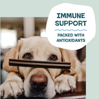 Thumbnail for Shameless Pets Blueberry & Mint Dental Chews for Dogs, 8 Chews - Natural Dog Teeth Cleaning Treats with Fresh Breath Benefits | Grain-Free Dental Sticks for Small, Medium & Large Dogs